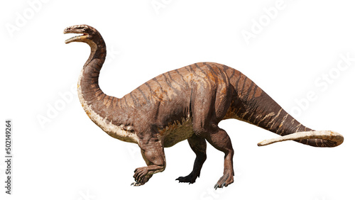 Plateosaurus, dinosaur from the Late Triassic epoch, isolated on white background 