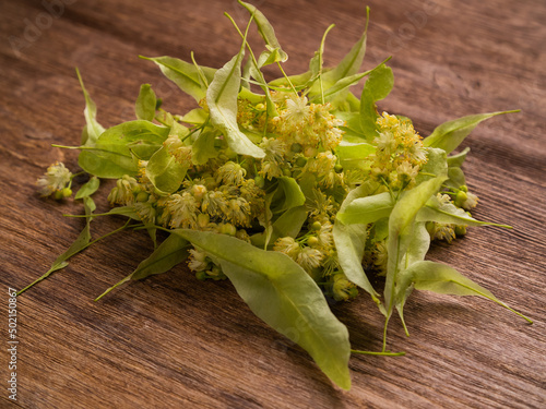 Bunch of linden flowers and leaves on wooden table for linden herbal tea - herbal therapy and natural medical treatment