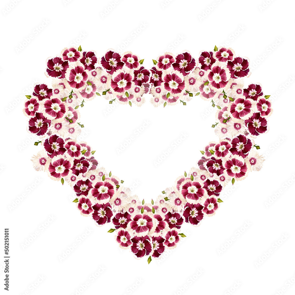Carnation Turkish, or bearded. Burgundy flowers. Wreath in the shape of a heart. Vintage watercolor botanical illustration isolated on white background. Carnation Turkish, or bearded. Burgundy flowers. Wreath in the shape of a heart. Vintage watercolor botanical illustration isolated on white background.