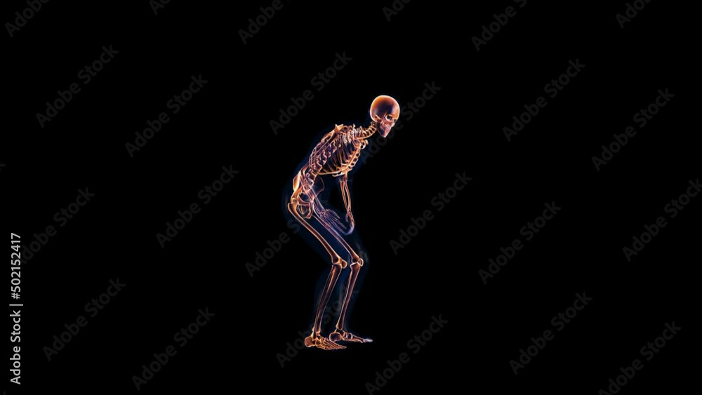 Human x-ray body and skeleton, stomack pain loop, Alpha Channel Human x-ray body and skeleton, stomack pain loop, Alpha Channel