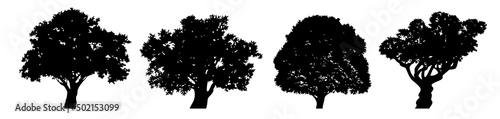 Collection with four Silhouettes of a large trees with a wide, spreading crown. For nature apps and websites. Protection of nature and ecology. Vector illustration isolated on white background.