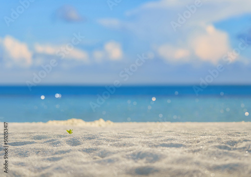 Fototapeta Naklejka Na Ścianę i Meble -   Empty sand beach in front of summer sea on maldives with copy space