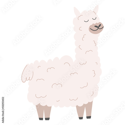 Cute alpaca in cartoon hand drawn style. Vector illustration of lama animal isolated on white background