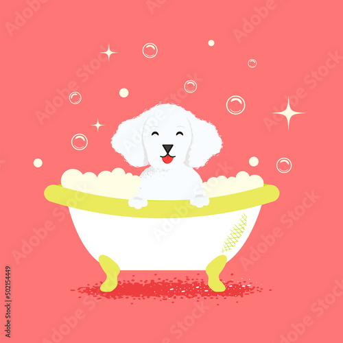 Dog in the bath