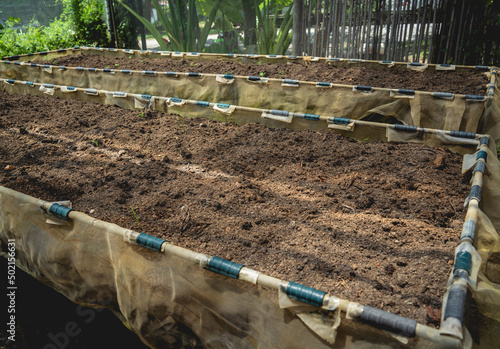 Vegetable bed boxes with soil in the cafe organic garden