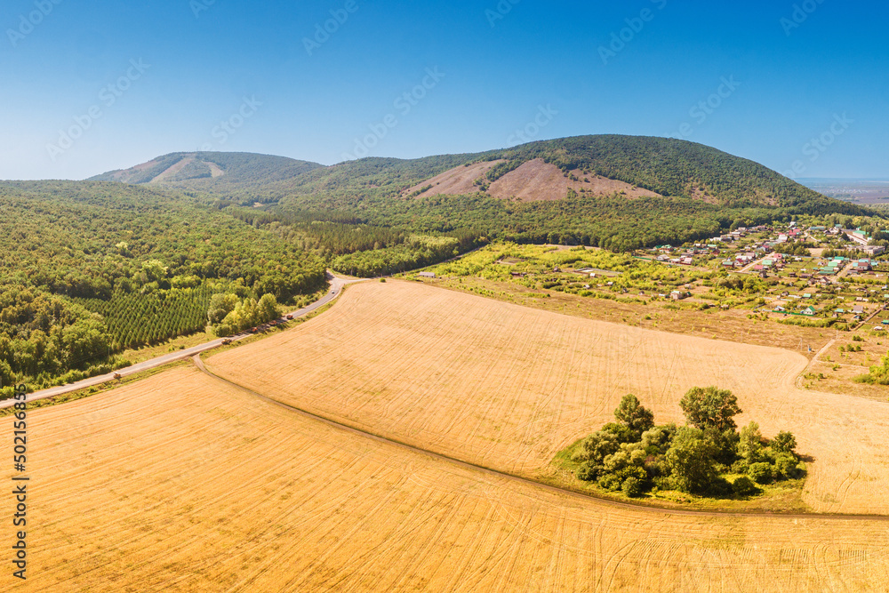 custom made wallpaper toronto digitalScenic aerial drone view of wheat field. Agriculture and farming concept