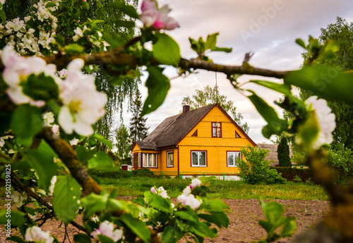 Beautiful traditional yellow house n Lithuania countryside with beautiful decorations