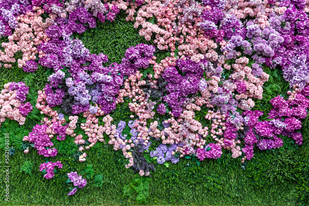 Obraz premium Flowers pink roses on green clover wall background