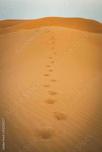 Fußspuren in einer Wüsten- und Dünenlandschaft in Dubai in den Vereinigten Arabischen Emiraten