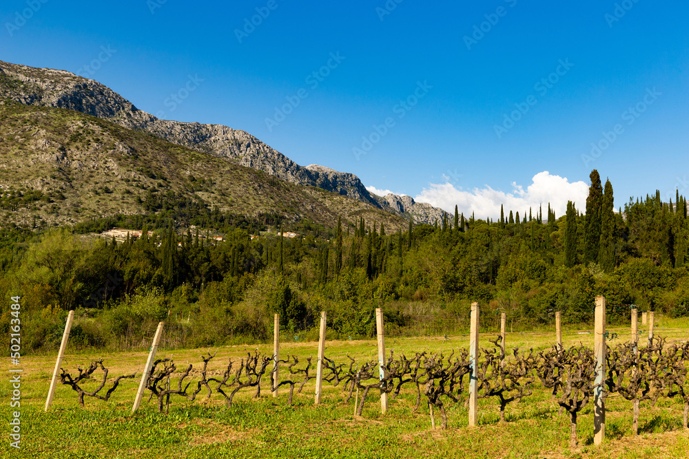 Mountain landscape in Dalmatia region. Croatia