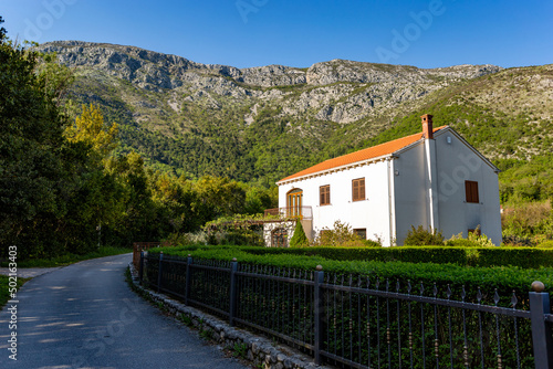 House in croatian countryside. Dalmatia region. photo