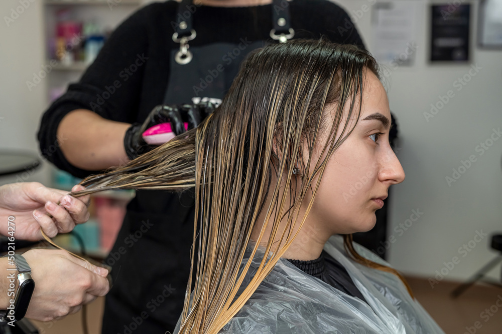 Fototapeta premium a beautiful young woman with a clean perfect face will be pumped hair dye to dye.
