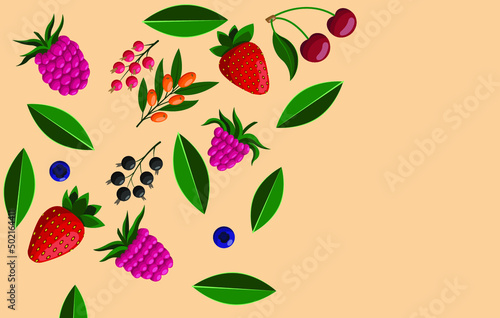Fresh berries with leaves on a light background. Raspberry, blueberry, currant, sea buckthorn, cherry and raspberry