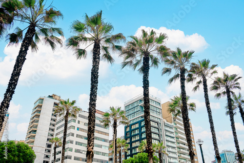 Buildings and palm trees in the Miraflores area. Lima, Peru. © badahos