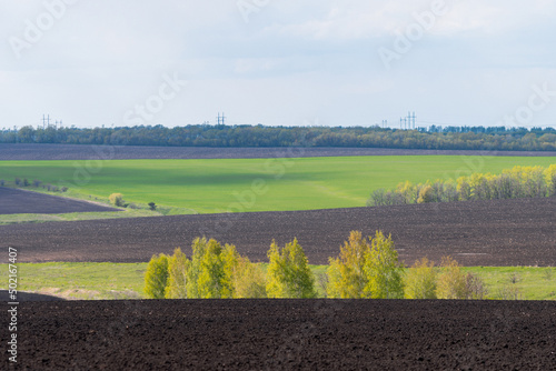 beautiful summer landscape of plowed chernozem field with trees