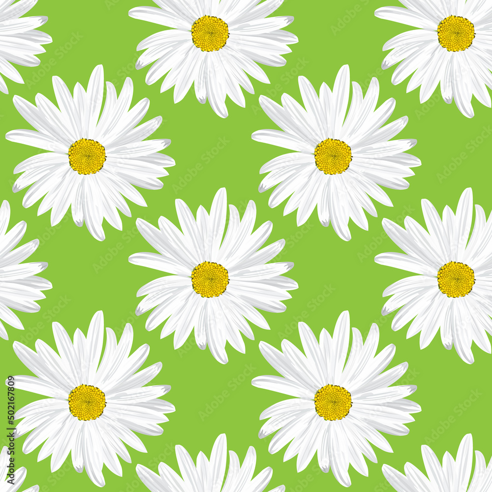 The chamomile flower. Seamless floral texture white of Daisy flower on a green background,geometric pattern The chamomile flower. Seamless floral texture white of Daisy flower on a green background,geometric pattern