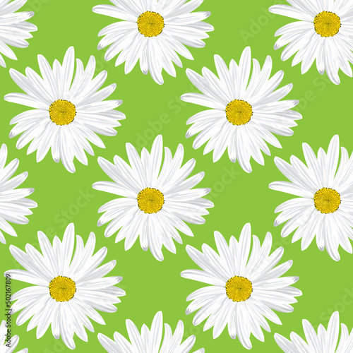 The chamomile flower. Seamless floral texture white of Daisy flower on a green background,geometric pattern