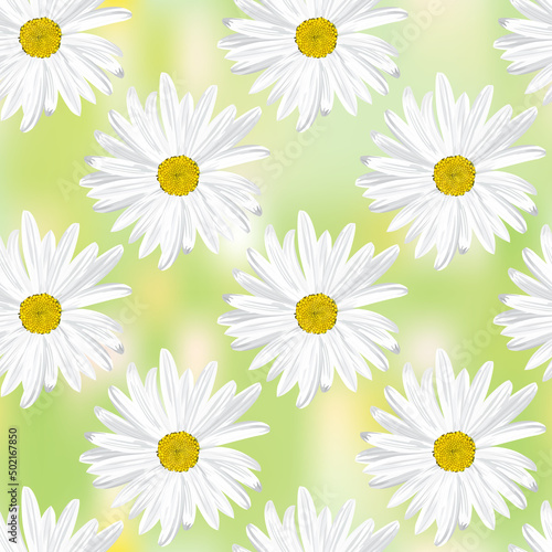 The chamomile flower. Seamless floral texture white of Daisy flower on a light green abstract background, geometric pattern