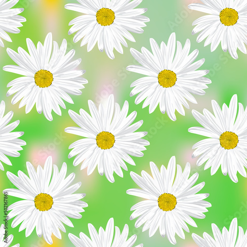 The chamomile flower. Seamless floral texture white of Daisy flower on a green with a touch of pink abstract background, geometric pattern