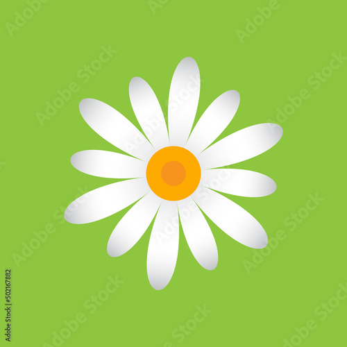 White chamomile with petals of different sizes. Single flower white daisies, geometric pattern on a green background, icon.