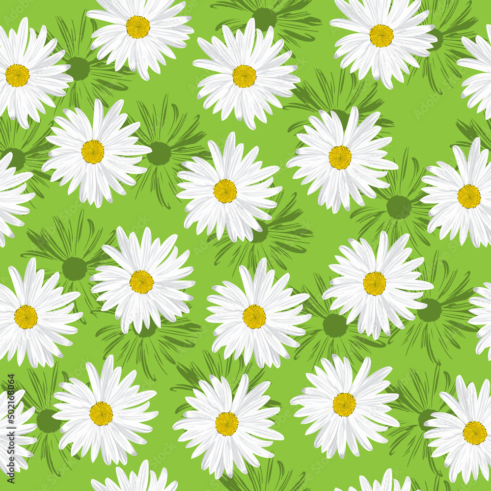 The chamomile flower. Seamless floral texture white of Daisy flower on a green background, for textile use The chamomile flower. Seamless floral texture white of Daisy flower on a green background, for textile use