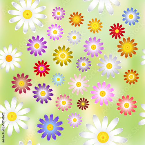 The chamomile flowers.  Floral pattern of Daisy flower different colors on a green abstract background, seamless texture