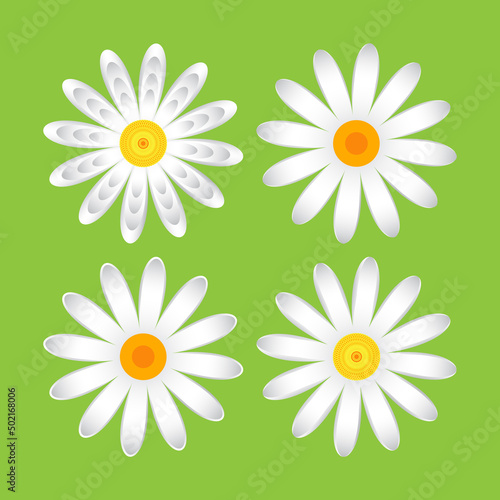 The geometric chamomile flowers. Set single flower 
of white daisies made of simple geometric shapes on a green background, icon