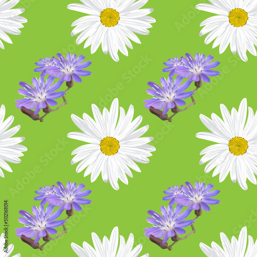 The chamomile flower. Seamless floral texture white of Daisy flower and blue wildflowers on a green background,geometric pattern