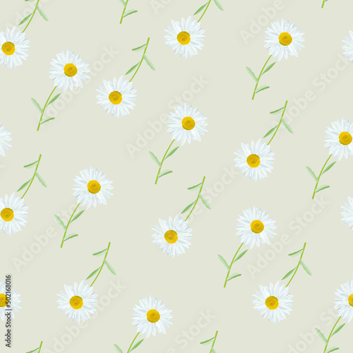 Fototapeta Naklejka Na Ścianę i Meble -  The chamomile flower. Seamless floral texture white of Daisy flower on grey background, floral pattern