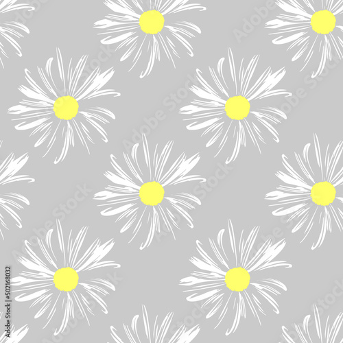 Chamomile flowers. White Daisy petals, flower arrangement on grey background, seamless texture
