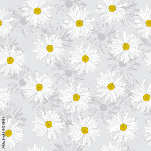 The chamomile flower. Seamless floral texture white of Daisy flower on grey background