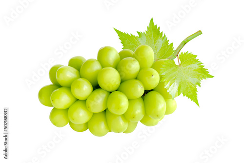 Cutout beautiful bunch of fresh green Shine Muscat grape with leaf isolated on white background