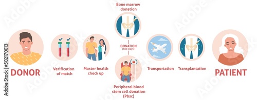 Bone marrow donation medical poster info graphic
