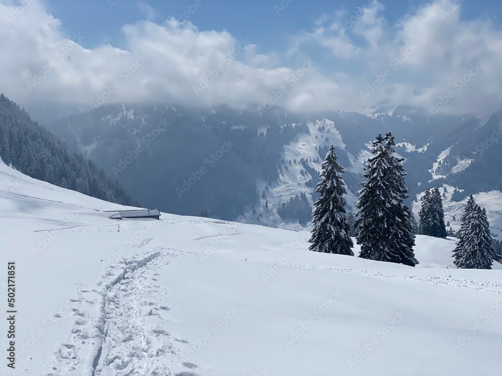 Fototapeta premium Wonderful winter hiking trails and traces on the slopes of the Alpstein mountain range and in the fresh alpine snow cover of the Swiss Alps, Nesslau - Obertoggenburg, Switzerland (Schweiz)