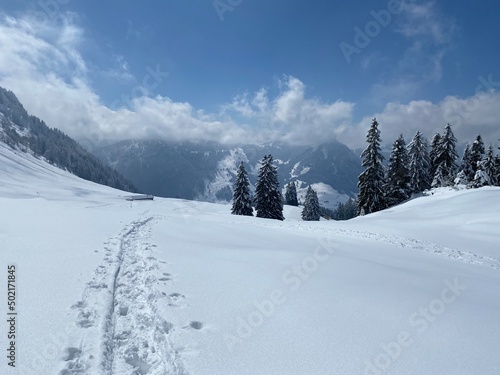 Wonderful winter hiking trails and traces on the slopes of the Alpstein mountain range and in the fresh alpine snow cover of the Swiss Alps, Nesslau - Obertoggenburg, Switzerland (Schweiz)