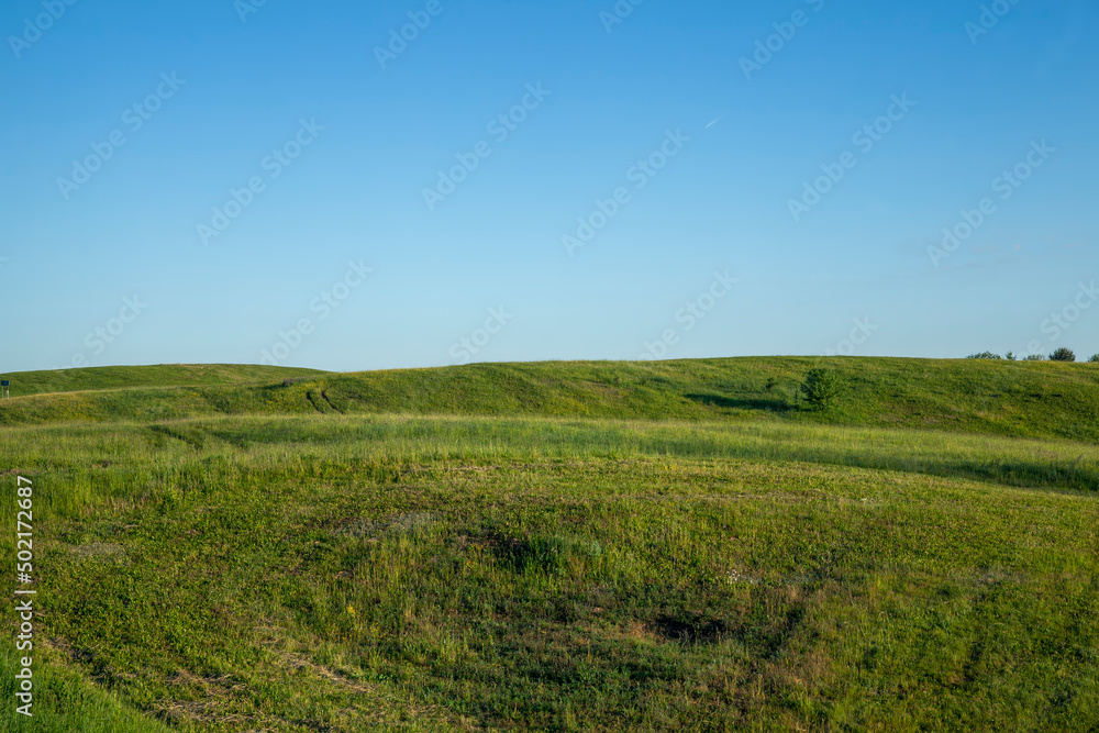 landscape with hilly territory with plants