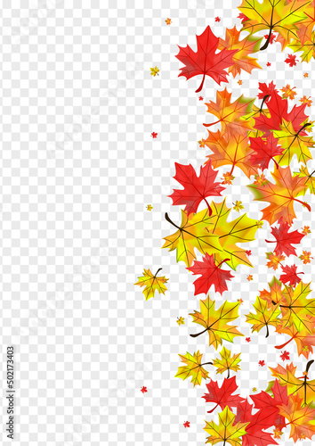 Brown Leaf Background Transparent Vector. Plant October Frame. Orange Design Leaves. Down Foliage Texture.