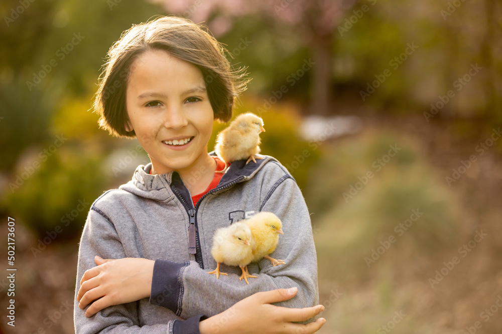 Cute sweet child, preteen boy, playing with little chicks in the park, baby chicks and kid . Cute sweet child, preteen boy, playing with little chicks in the park, baby chicks and kid .