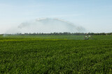 Guns Sprinkler Irrigation System Watering Wheat Field