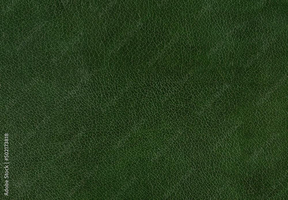 Fototapeta premium Pattern of green leather. Horizontal background