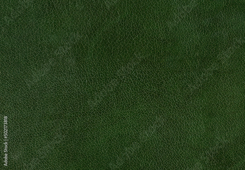 Pattern of green leather. Horizontal background