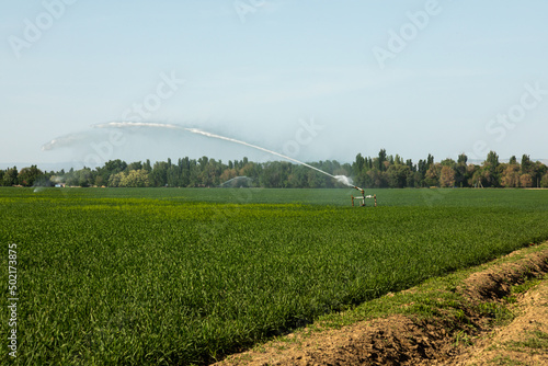 Guns Sprinkler Irrigation System Watering Wheat Field