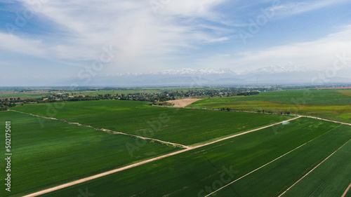 Aerial view of green agriculture fields with growing crops © Collab Media