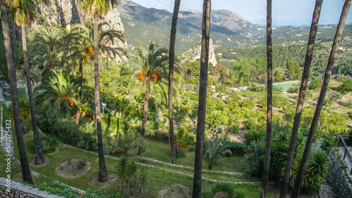 Palmeras de jardines de Guadalest en la Costa Blanca, Alicante de España