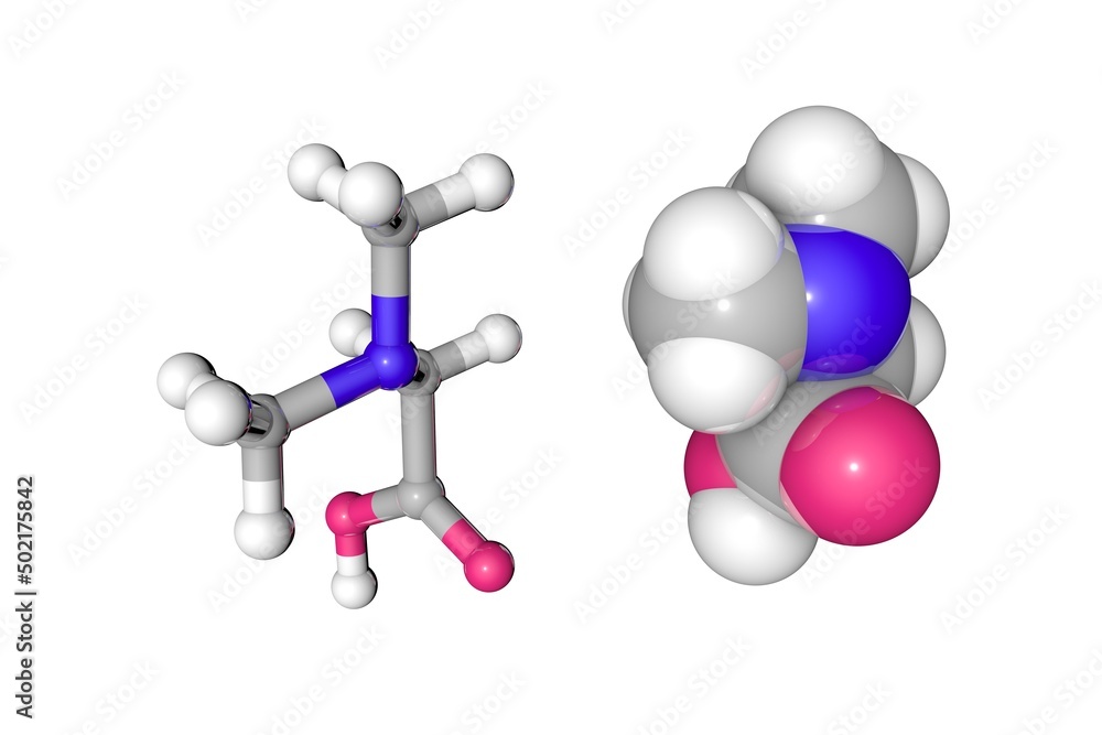 Molecular models of dimethylglycine, vitamin B16. Atoms are represented as spheres with color coding: oxygen (red), nitrogen (blue), hydrogen (white), carbon (grey). 3d illustration Molecular models of dimethylglycine, vitamin B16. Atoms are represented as spheres with color coding: oxygen (red), nitrogen (blue), hydrogen (white), carbon (grey). 3d illustration