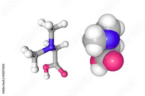 Molecular models of dimethylglycine  vitamin B16. Atoms are represented as spheres with color coding  oxygen  red   nitrogen  blue   hydrogen  white   carbon  grey . 3d illustration