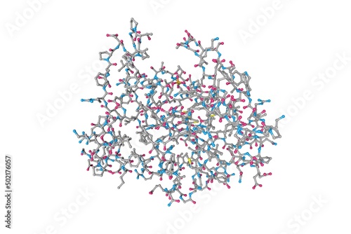 Human adenine phosphoribosyltransferase (APRTase), an enzyme encoded by the APRT gene, found on chromosome 16. Rendering based on protein data bank entry 1ore. 3d illustration
