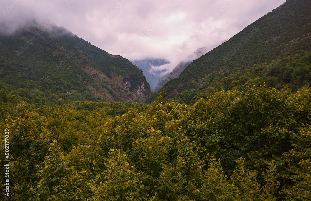 Green deciduous trees and mountain in Greece Green deciduous trees and mountain in Greece