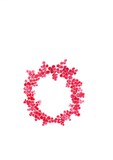 watercolor wreath of red berries on a white background. A natural template with an empty space for your text. Elements of festive design