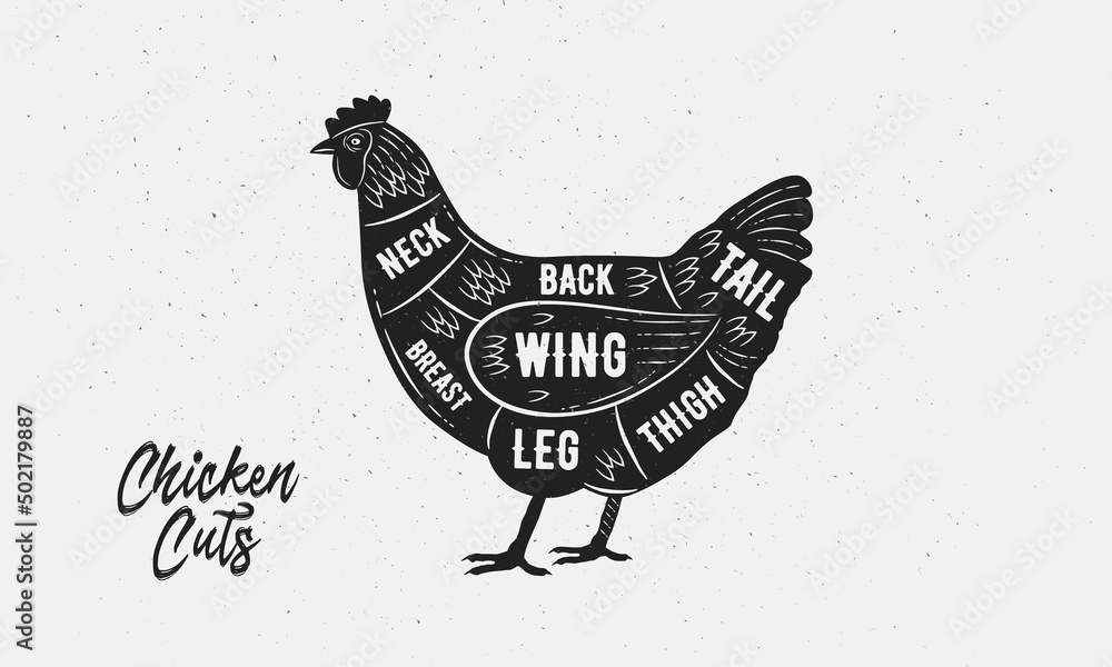 Cuts of Chicken. Butcher Diagram, scheme, chart. Hen sketch silhouette